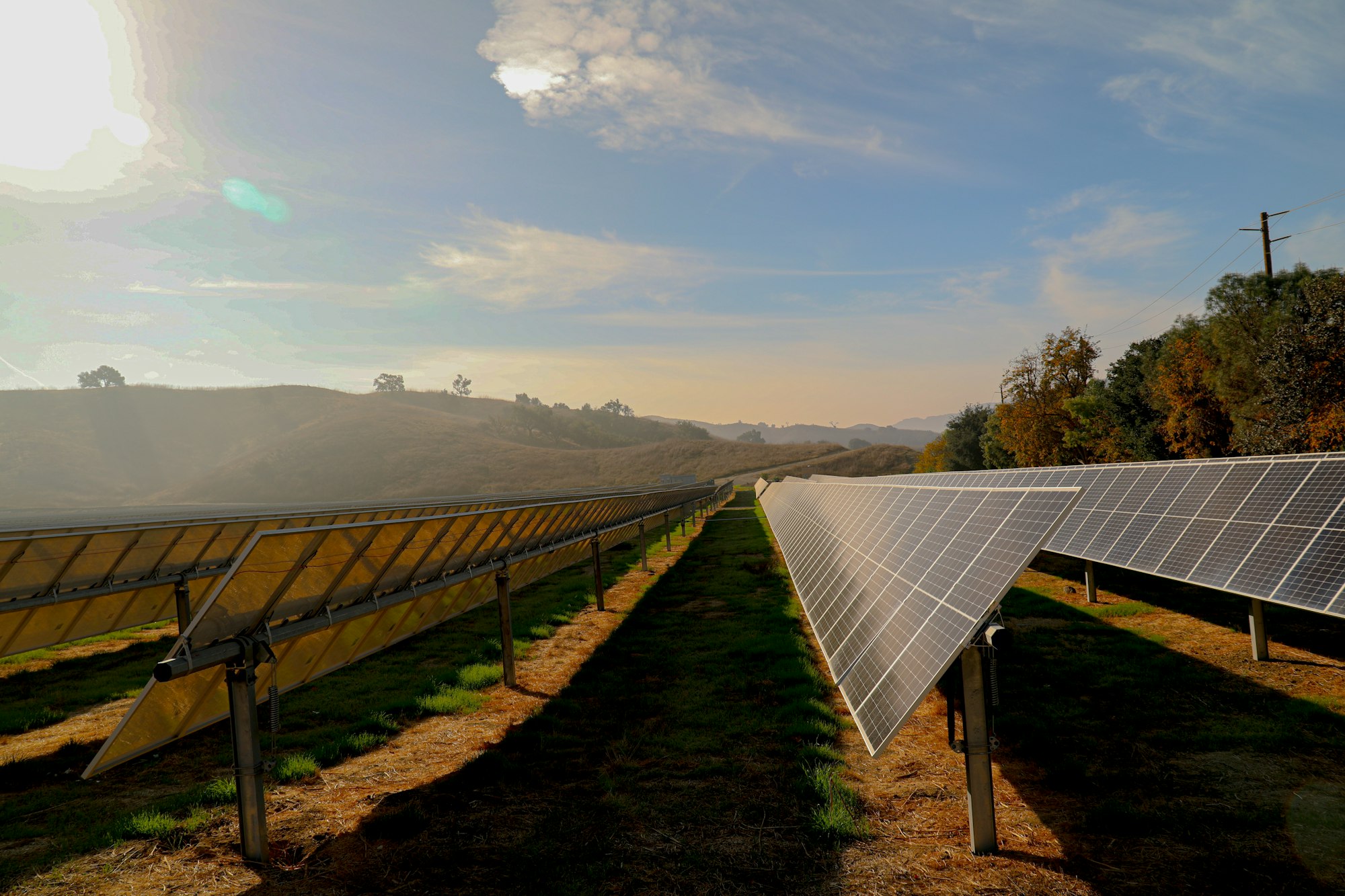 Rows of solar panels in a field under blue sky and sunlight.