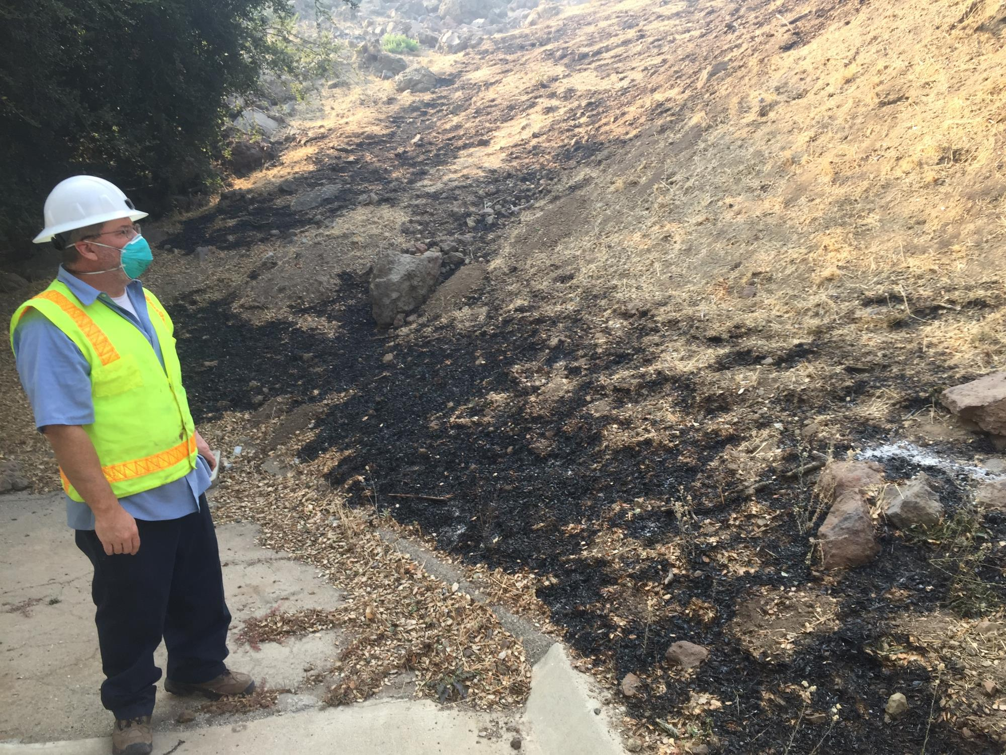 Person in safety gear, wearing a mask, looking at a charred hillside, possibly from a fire.