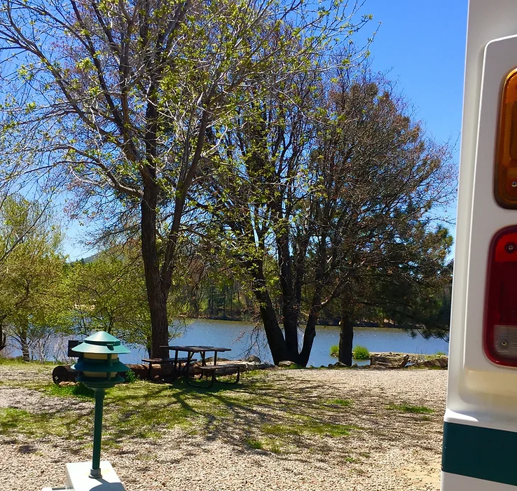 A riverside scene with trees, a picnic table, and part of a vehicle in the foreground.