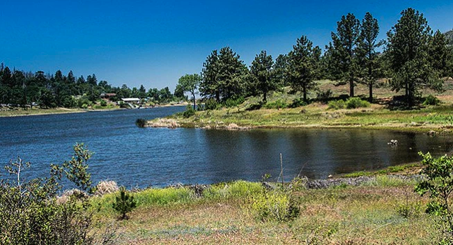 A serene lake surrounded by grass and trees under a clear blue sky.