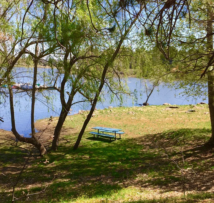 A serene park by a lake, with trees, a grassy area, and a blue picnic table.