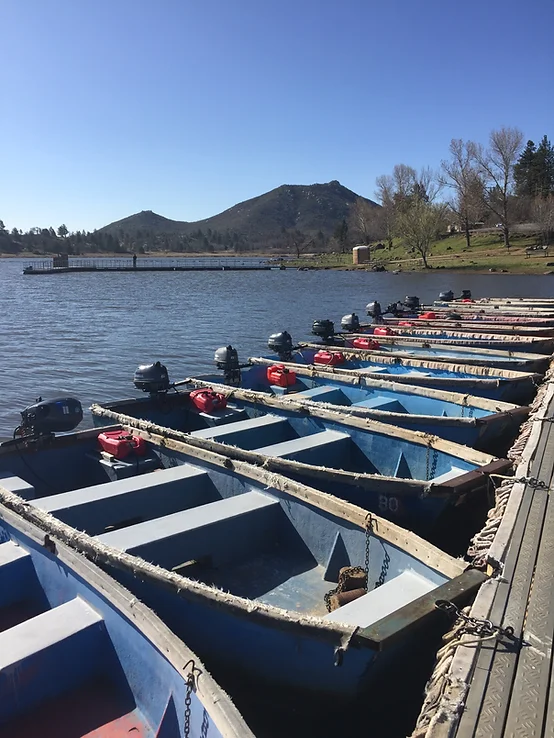 Rowboats with motors docked by a lake, with mountains and trees in the background.