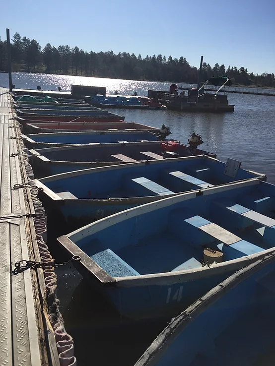Boats docked by a pier on a sunny day with trees in the background.