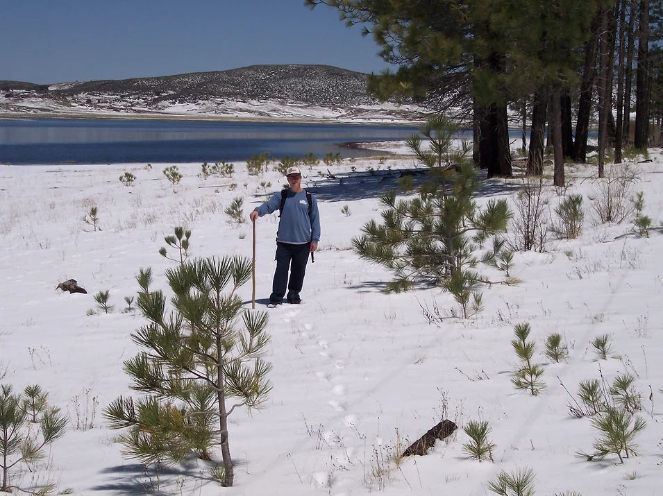 A person with a walking stick stands in a snowy landscape near trees and a lake, with hills in the background.