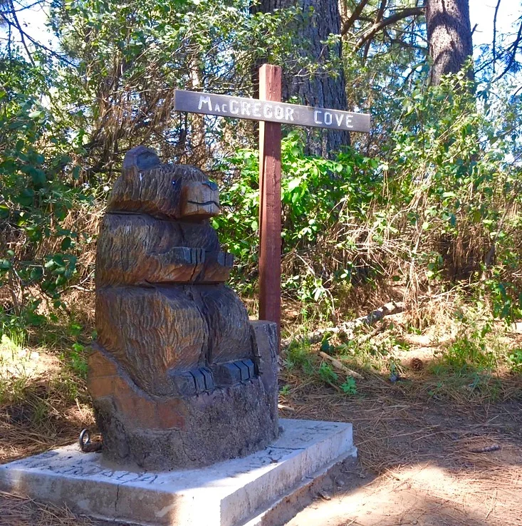 A wooden bear sculpture next to a sign that reads "MacGregor Cove" in a forest setting.