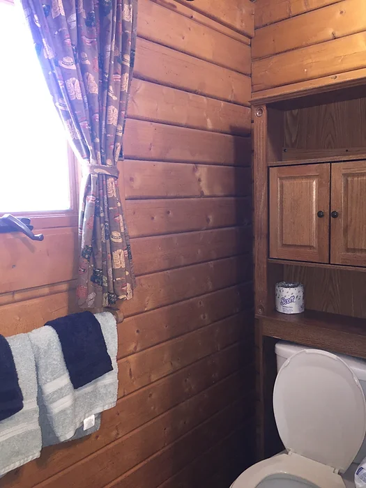 Wood-paneled bathroom with a toilet, cabinet, window with a curtain, and towels.