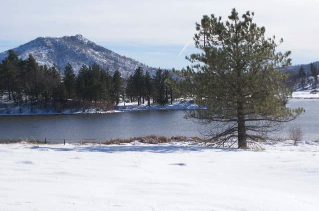 Snowy landscape with a tree, a frozen lake, pine forest, and a mountain in the background.