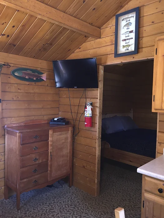 A cozy wooden cabin interior with a TV, dresser, wall art, and a view into a bedroom.
