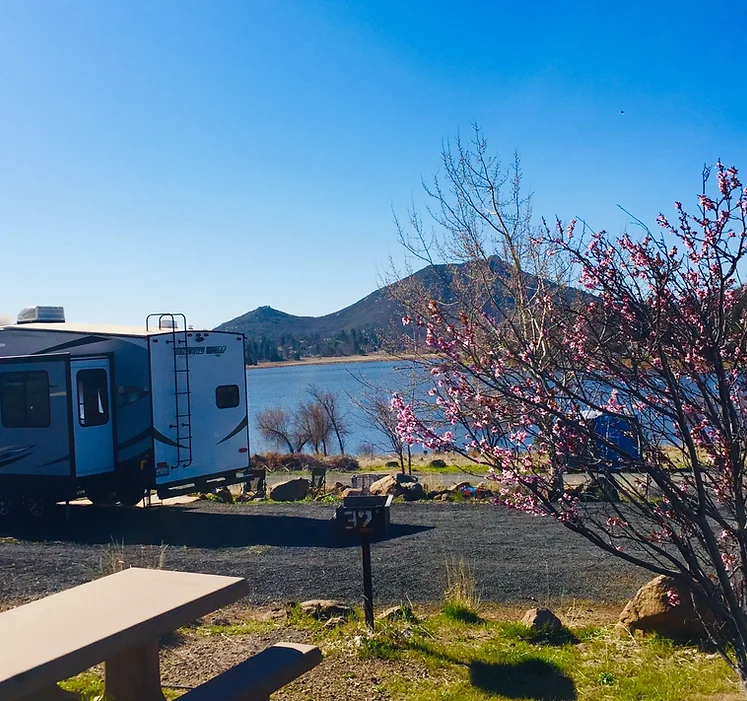 RV parked by a lake with mountains and blooming tree in the background, next to a picnic table.