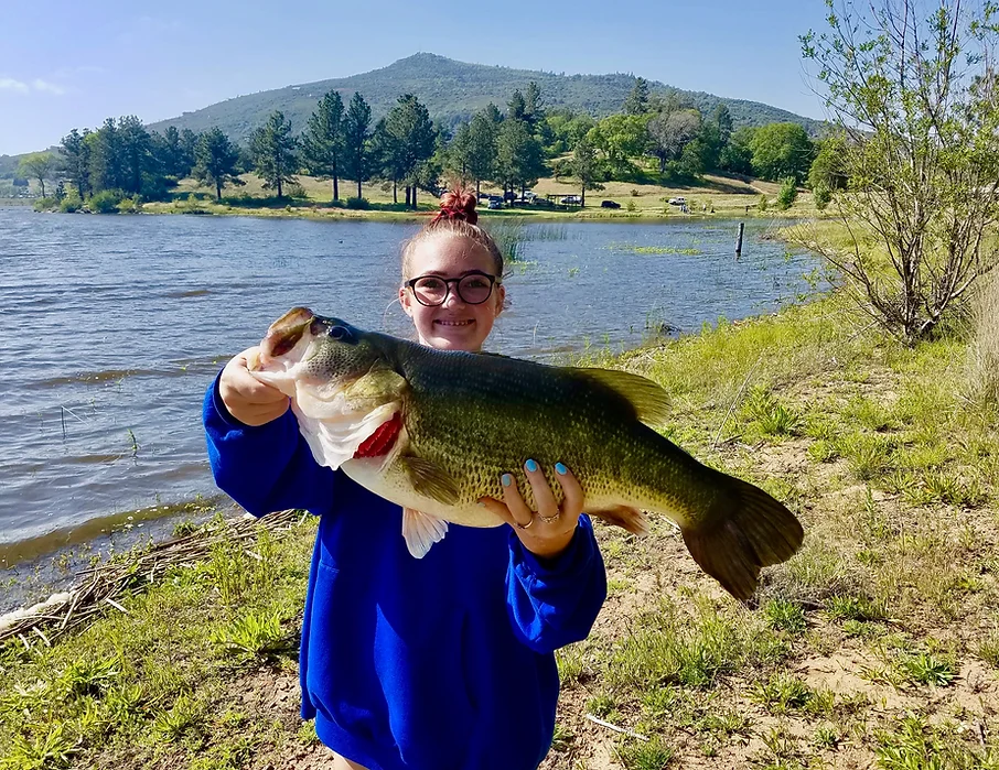Person holding a large fish by a lakeside with a scenic mountain and trees in the background.