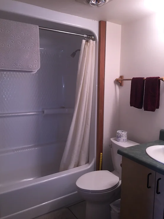 Bathroom with a bathtub, shower curtain, toilet, counter, sink, and towels on a rack.