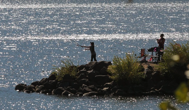 Two people fishing on a rocky lakeside with sparkling water and some foliage around.