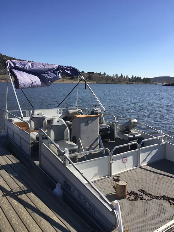 A docked pontoon boat with a folded canopy on a calm lake under a clear blue sky.