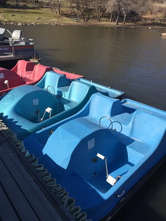 A dock with several pedal boats, including blue and red ones, on a calm lake.