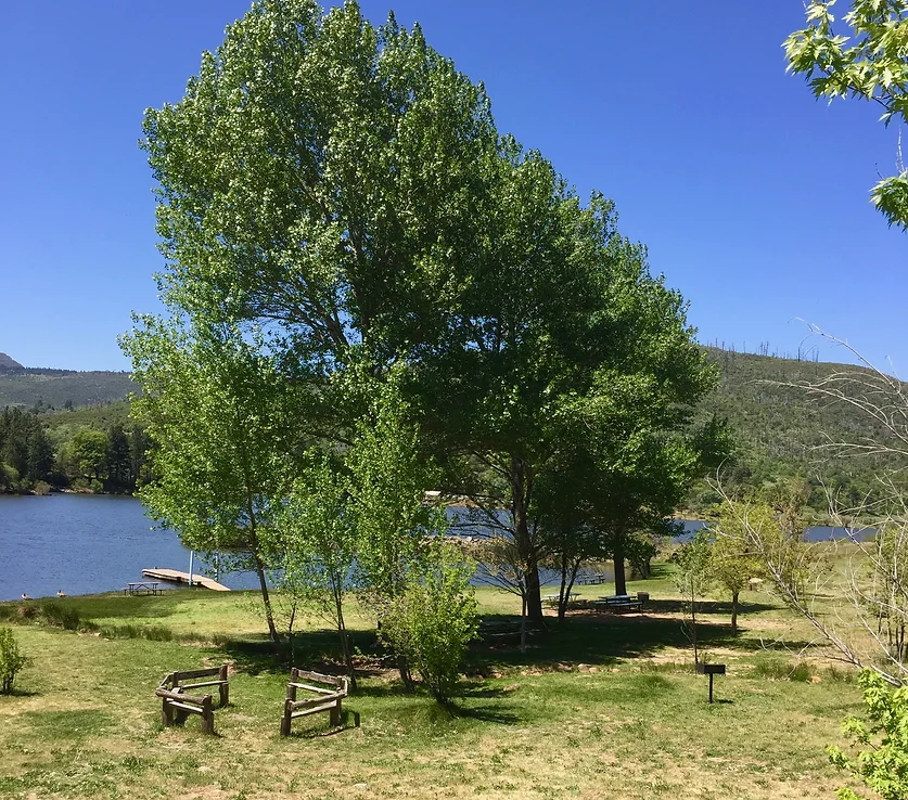 Scenic lake with trees and hills, under a clear blue sky; picnic benches and a dock visible.