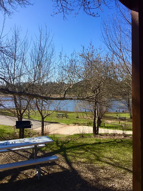 Picnic area with a bench, grill, and bare trees near a lake on a sunny day.