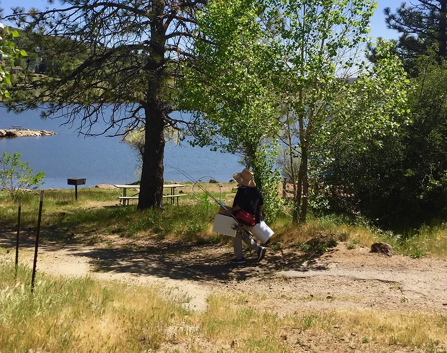 A person in a hat is carrying fishing gear near a lake surrounded by trees and grass.