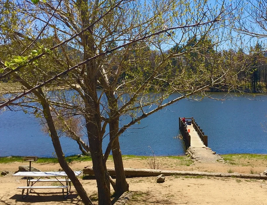 A dock extends over a lake surrounded by trees. A picnic table and grill are in the foreground, set under a sunny sky.