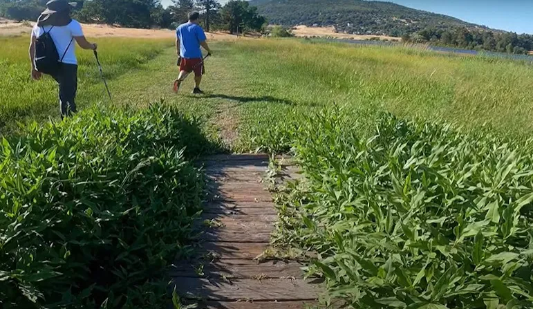 Two people walking on a grassy path with hiking gear, surrounded by lush greenery and distant hills.