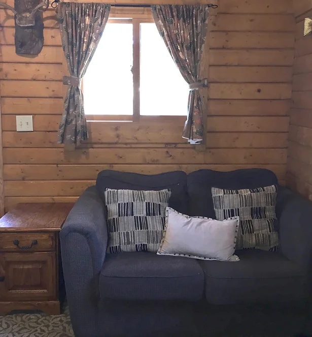 Rustic room with wooden walls, a window with curtains, and a sofa with patterned cushions.