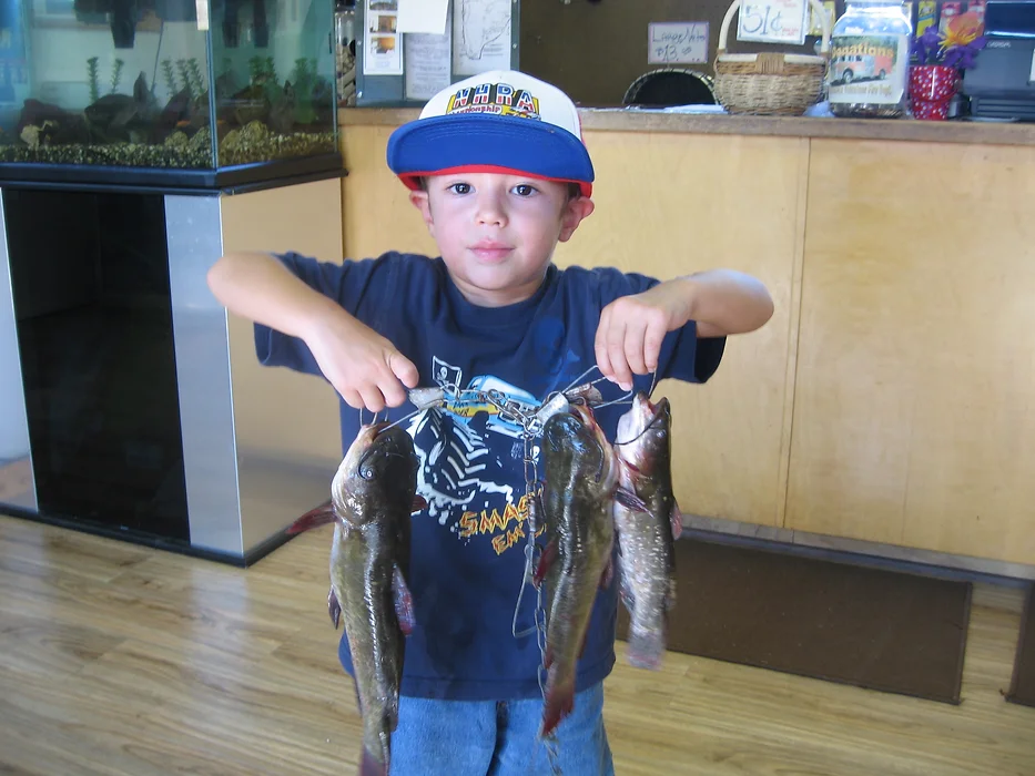 A child wearing a cap is holding up three fish, standing indoors near an aquarium.