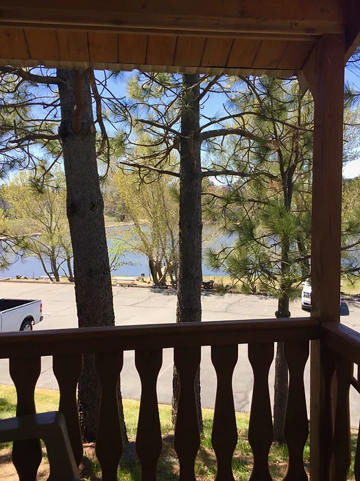 View from a porch showing trees, a parking area with cars, and a body of water in the background.