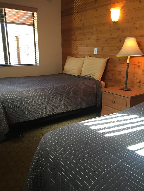 A cozy bedroom with two beds, gray bedspreads, a wooden nightstand, a lamp, and a window with blinds.