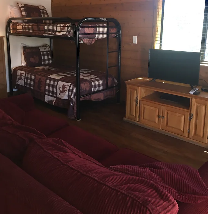 Room with bunk bed, TV on a wooden stand, red sofas, and wood-paneled walls.