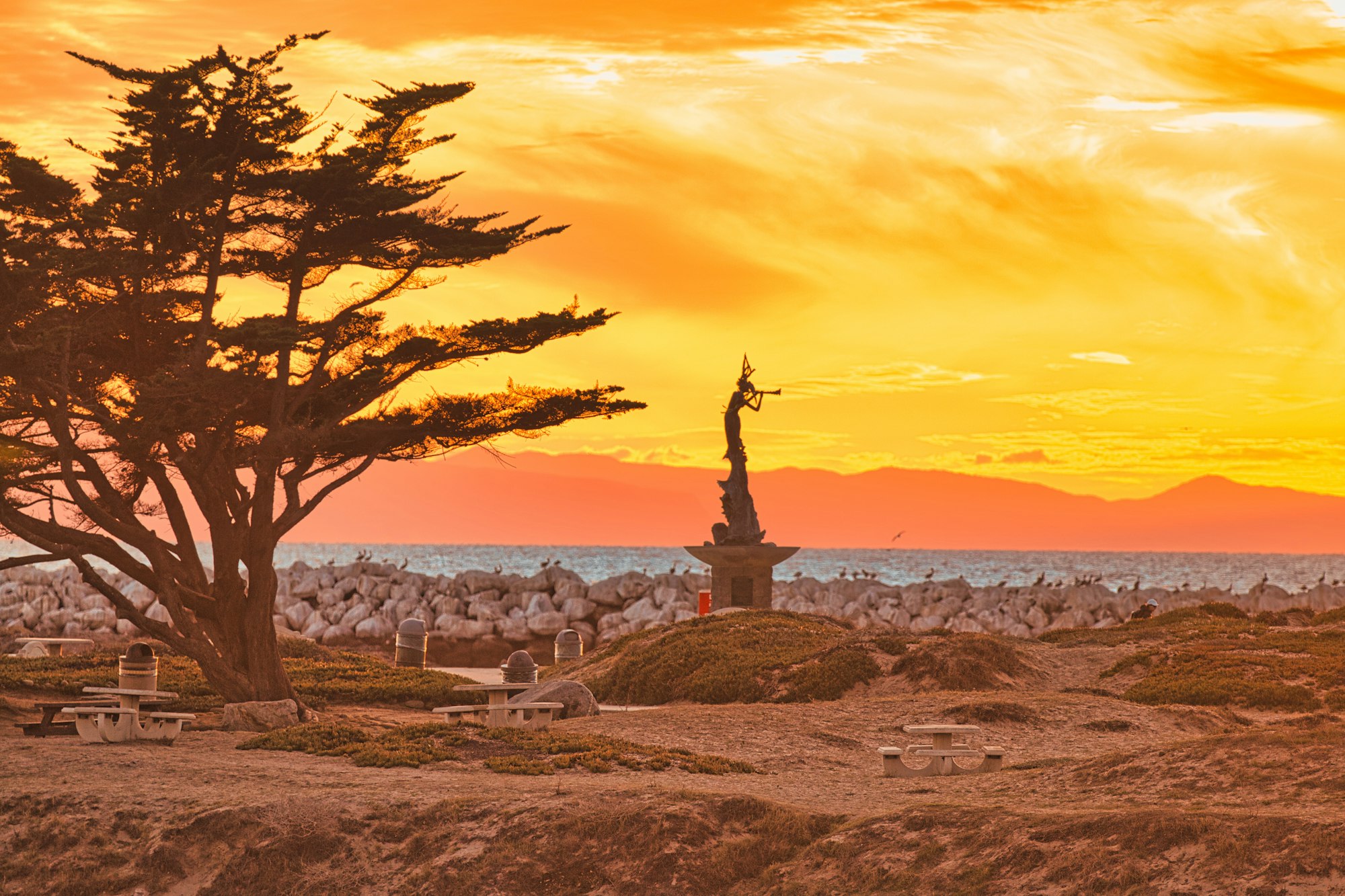 Sunset overlooking the Mermaid Statue and tree.  Santa Cruz Island in the background