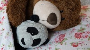 May contain: plush, toy, and teddy bear