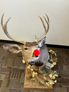 Randolph the red nosed deer