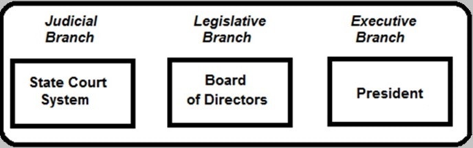 Chart showing the three branches of government in the Unites States of America--the judicial, legislative, and executive branches