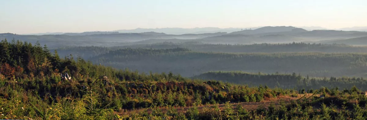 A scenic view of rolling hills and dense forests under a clear sky, showcasing layers of greenery and distant mountains.