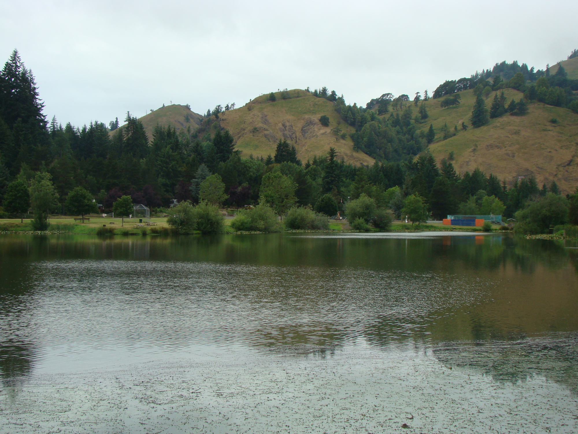 A serene lake surrounded by lush greenery and rolling hills under a cloudy sky, with reflections on the water's surface.