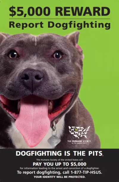 The image promotes a $5,000 reward for reporting dogfighting, featuring a happy dog and a message from The Humane Society.