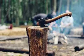 An axe is embedded in a wooden stump, with a campsite and people blurred in the background, suggesting an outdoor setting.
