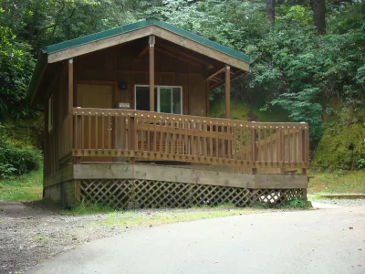 A cozy wooden cabin with a green roof and a front porch, surrounded by lush greenery in a natural setting.