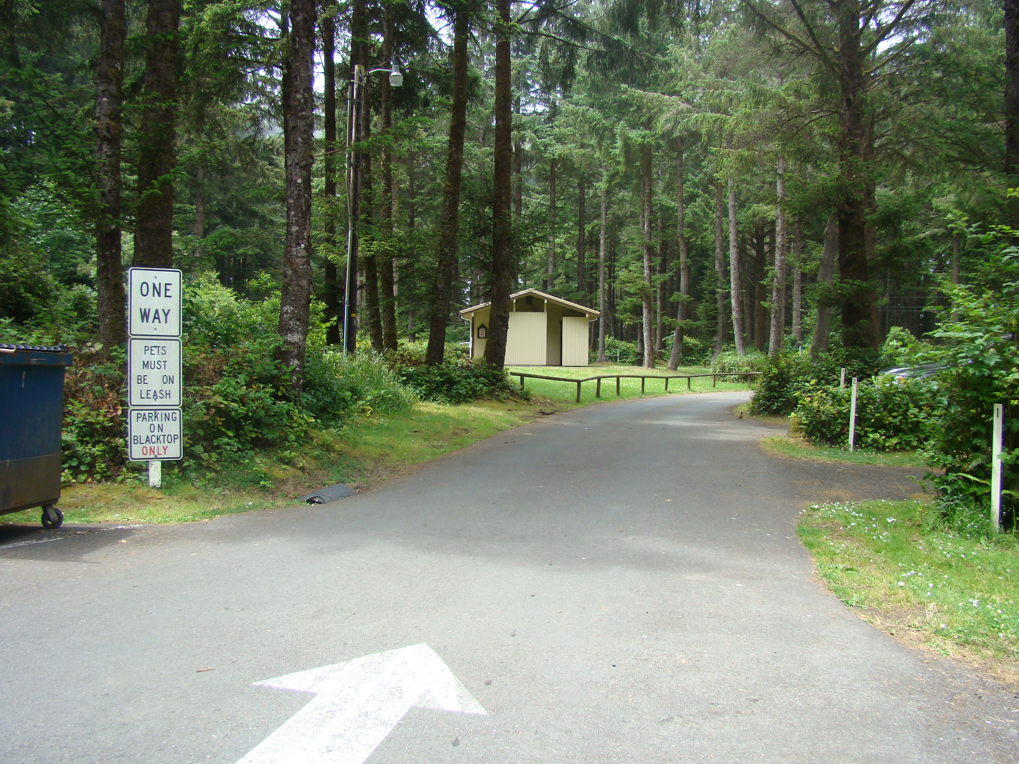 A narrow road in a wooded area with a one-way sign, pet leash rules, and a parking restriction. A small building is visible.