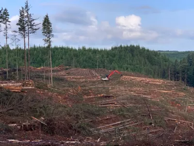 The image shows a deforested area with stumps and fallen logs, alongside a machine clearing trees in the background.