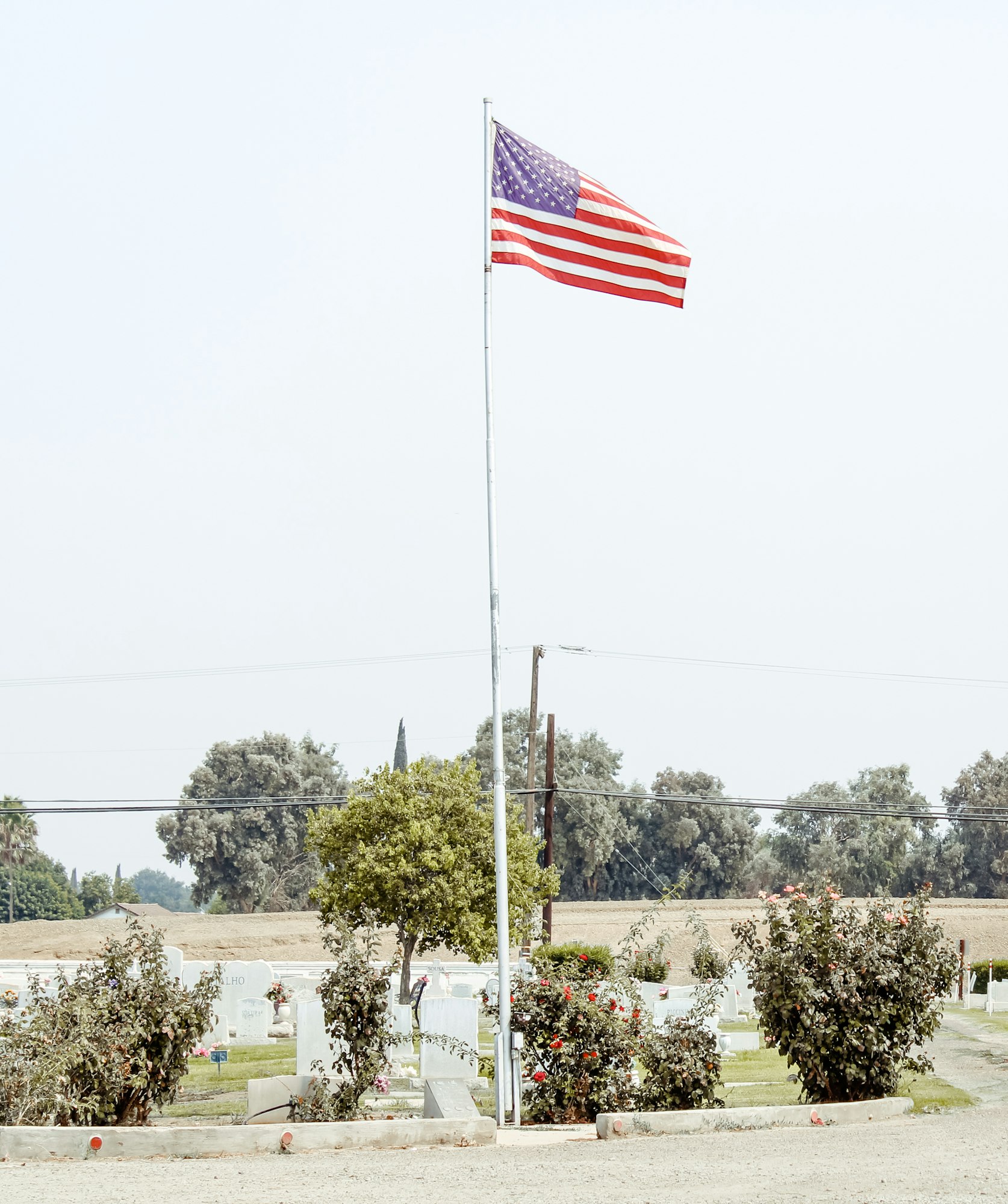May contain: symbol and flag