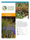 Guide cover for California native plants in LA County; includes images of flowers and planting tips.