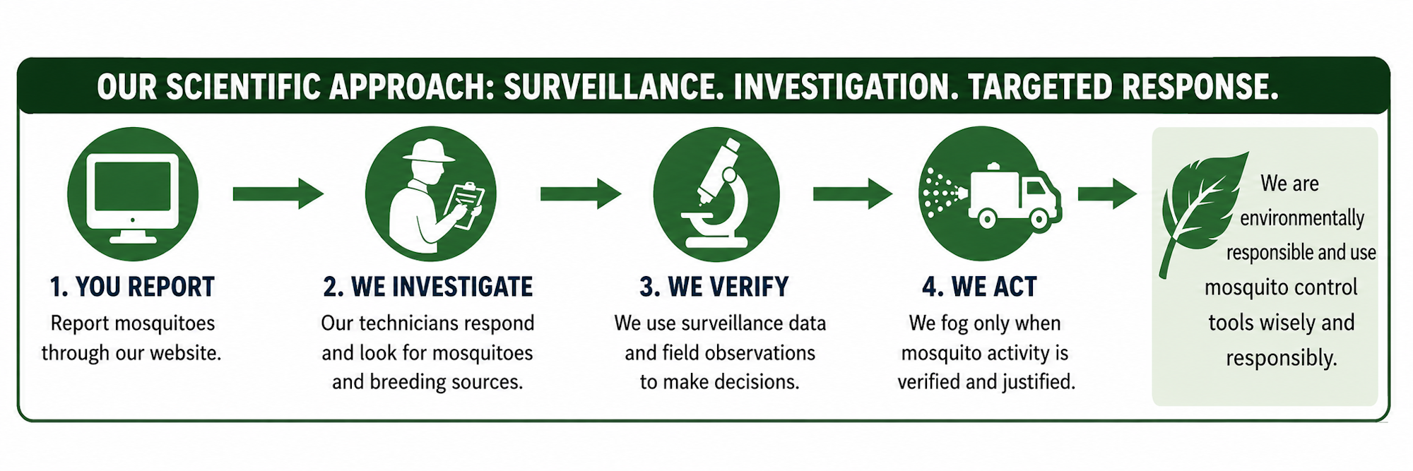 The image outlines a four-step approach to mosquito control: Reporting, Investigating, Verifying, and Acting responsibly.
