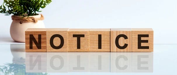 Wooden blocks spelling "NOTICE" on a reflective surface, with a potted plant in the background.