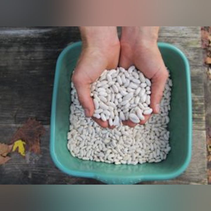 May contain: food and produce