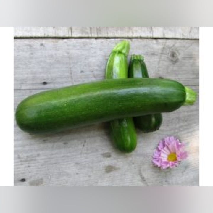 May contain: food, plant, produce, squash, vegetable, and zucchini