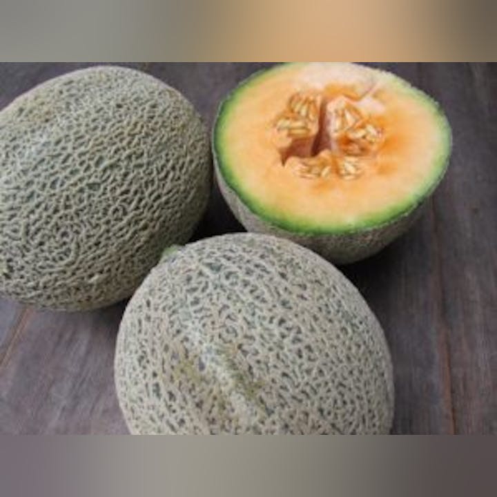 May contain: food, fruit, plant, produce, and melon