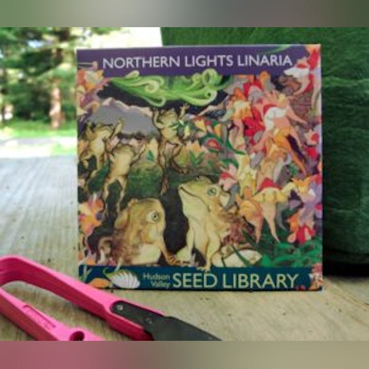 May contain: book, publication, herbal, herbs, plant, accessories, art, ornament, and tapestry