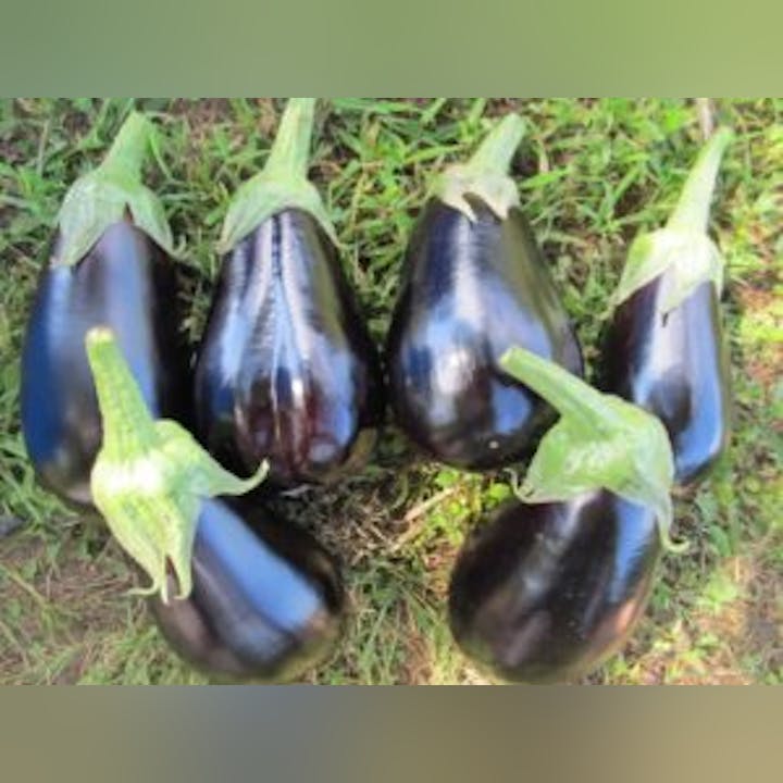 May contain: food, produce, eggplant, plant, and vegetable