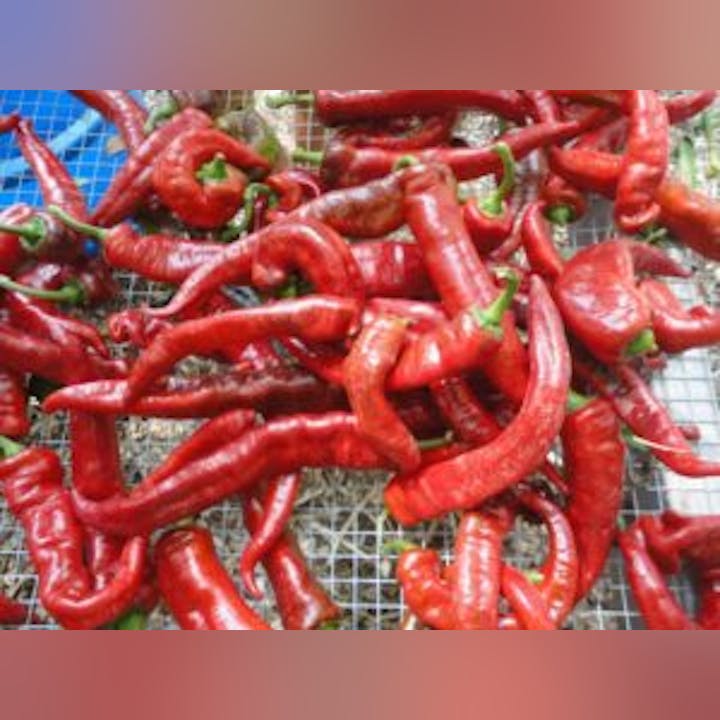 May contain: food, ketchup, produce, pepper, plant, vegetable, and bell pepper