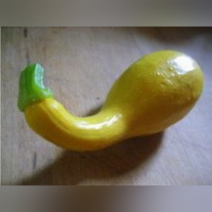 May contain: food, plant, produce, squash, vegetable, zucchini, animal, reptile, and snake